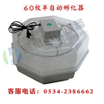 孵化机 60枚家用微型孵化器(透明型)