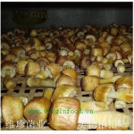 ���� ����ʳ�þ� Ұ���� ��Ӧ���ʼ����׾�������Ʒ��