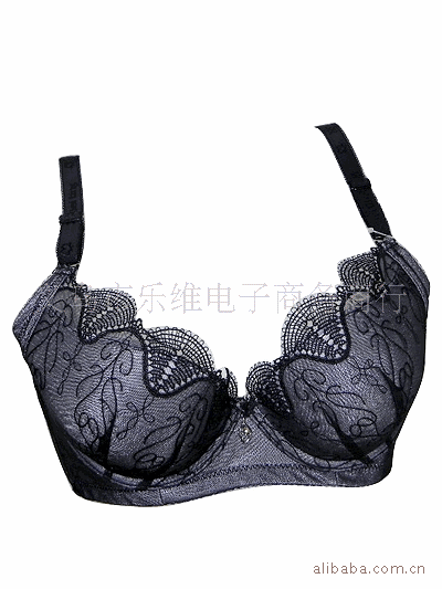 批发采购<em>文胸</em>-批发供应<em>文胸</em>内衣<em>网店代理</em>代发