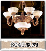8049ϵ��