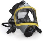 供应山东山西河南郑州防毒全面具60414101