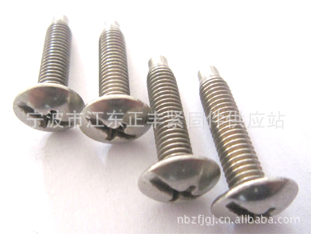 【厂价供应螺钉 圆头螺钉 扁圆头螺钉 大扁头螺