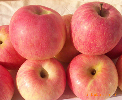 ʹ-츻ʿƻ ղ.  ز-