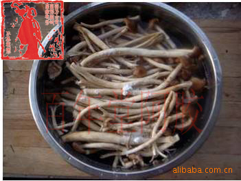 滋补养生的膏方-阿里巴巴专栏menred温控器操作说明书图片