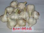 供应优质出口脱水蒜粉