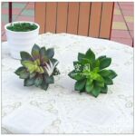 高升雪莲 客厅室内装饰品 塑料迷你小植物盆景