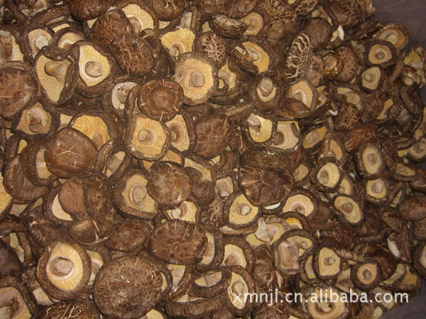 干香菇-急需干香菇到台湾运输服务--阿里巴巴采