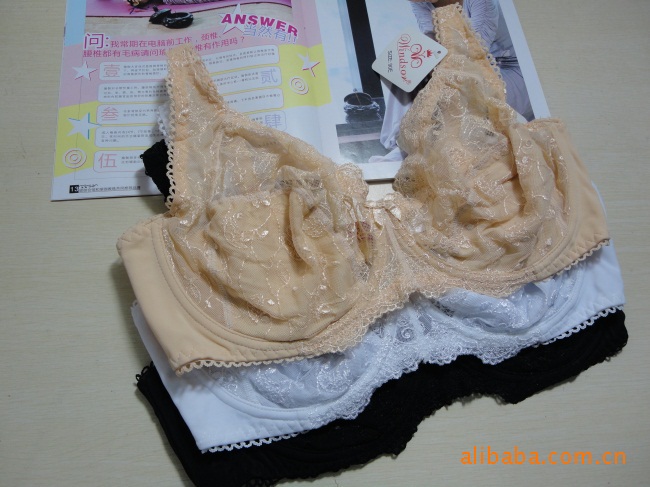 外贸超薄蕾丝<em>大罩杯文胸批发</em>261 - 外贸超薄蕾