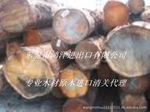 提供北美云杉进口清关公司深圳原木进口报关代理