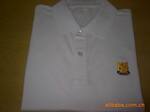 ˹�Ĵ󷽴���Polo����