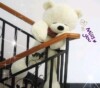 http://aixinshishangguan.taobao.com/