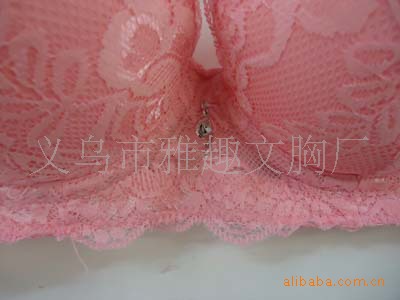 【2011新款 <em>黛安芬</em>熏衣草透气<em>文胸</em>批发 2593#