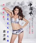 中国风内衣,青花瓷中国风无骨文胸隆重推出