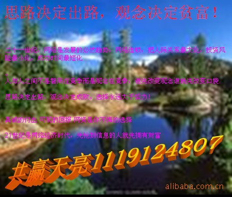 什么是网络资本运什作?可从事吗?_xtk12345