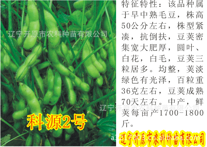 供应毛豆种子(台75-2)种子(全国热销中)