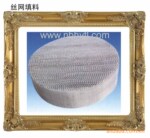 供应波纹填料(不锈钢孔板波纹填料,丝网波纹填料)