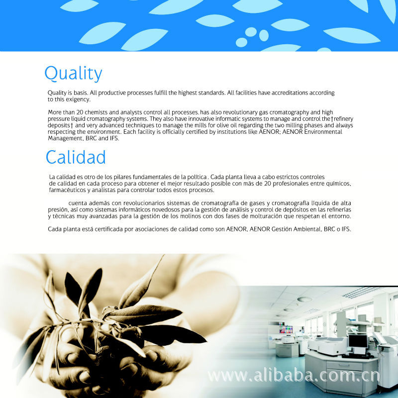 世界粮食日_年人均粮食消耗