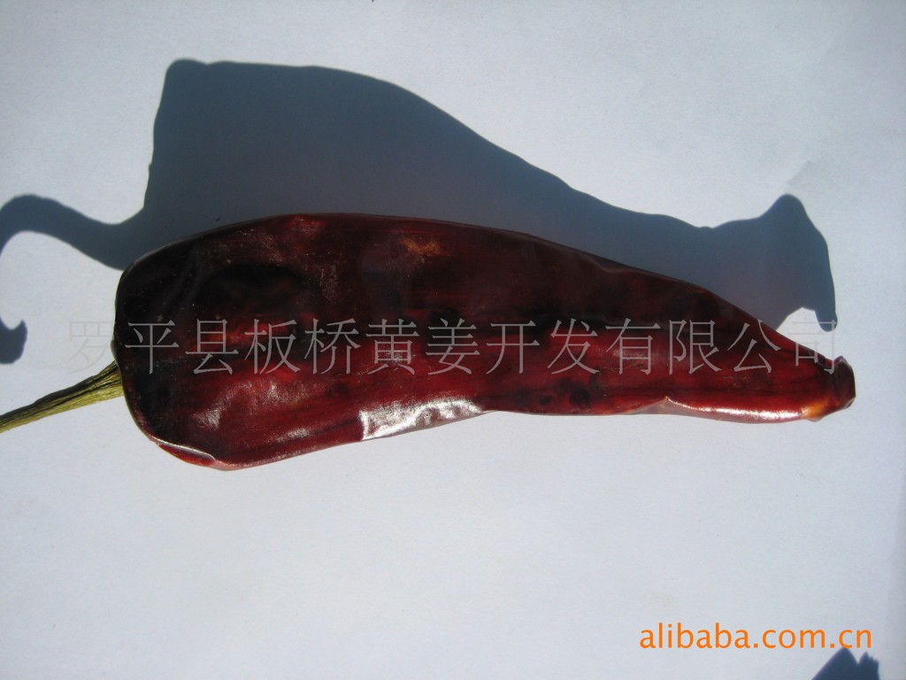 云南厂家供应辣椒,长椒、圆椒