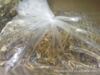 批发供应干货5公斤精品茶树菇(图)