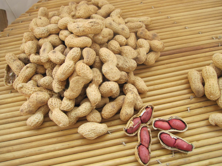 精心炒制山东原味大花生 500克