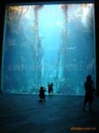 【索浦鱼缸】大型压克力圆柱鱼缸/水族箱/异形亚克力水族箱 80/kg