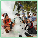 ��Ӧ����ѩ��֬������ѩѩ������ˮ��֬����ѩ