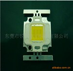 供应集成大功率投光灯用高亮白光LED灯珠