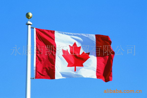 【车旗厂家供应涤纶布加拿大小国旗 定做色丁
