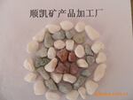 批发供应优质园林鹅卵石(图)