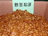 ��Ӧ�ߵ�Ұ�������Ѿ��� ��ͼ��