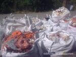 欧洲 PA 机头料