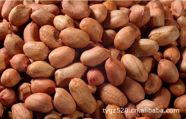 纯天然五谷杂粮、食用药材绿色养生功能性自制