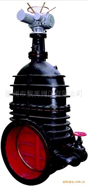 铸铁低压闸阀系列 Z945T-10带旁通阀