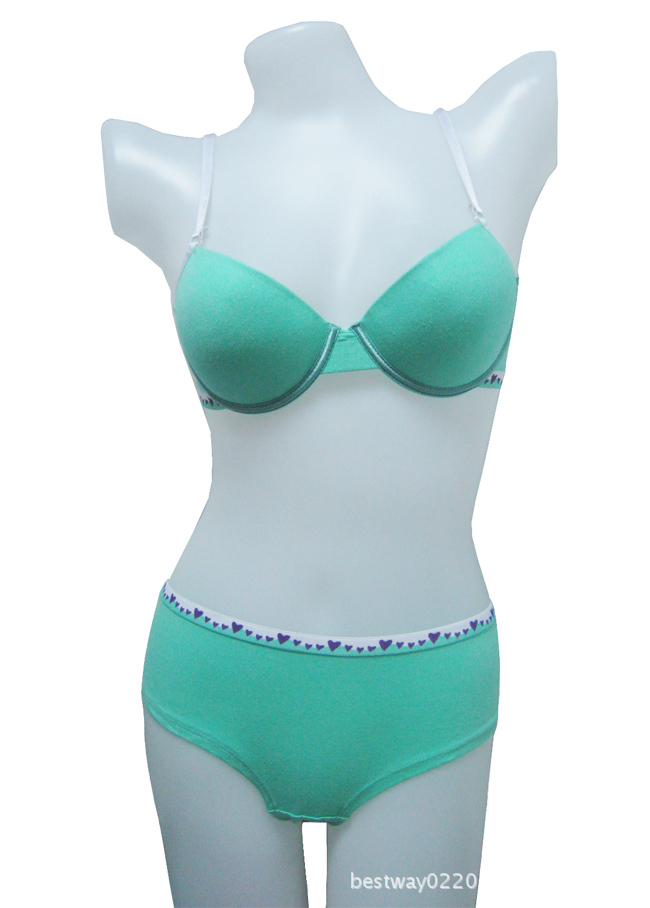 淘宝热卖的<em>外贸</em>欧美内裤<em>文胸</em>套装印花提花款现