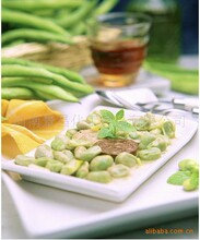 植物蛋白提取_蛋白价格_优质蛋白批发\/采购 -