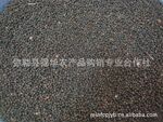 【优良品质】供应云南油菜籽