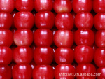 ��Ӧƻ�����ʼ�890F