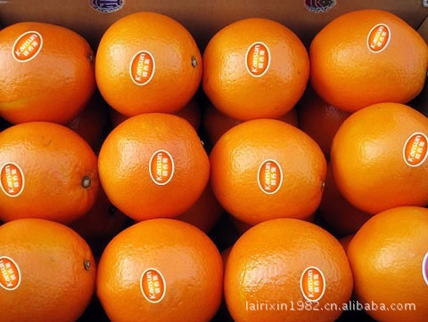 【优质赣南脐橙】价格,厂家,图片,橙、桔、柚,赖