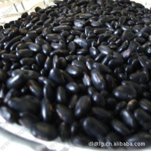 黑扁豆(发芽,豆豉用)