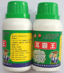 供应袋料黑木耳速效增产剂,黑木耳营养液,耳霸王
