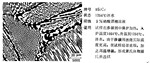 供应专业金相材料分析软件NK-100自主研发
