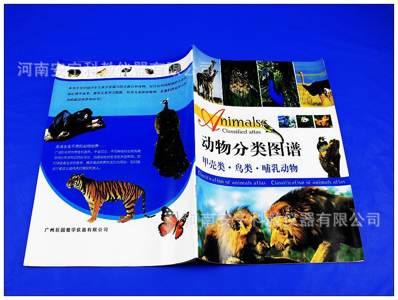 【【安宁科教】 59009 动物分类图谱 教学用书