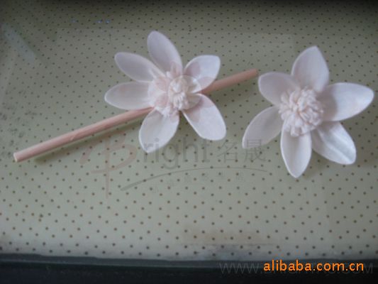 变色花、无火香熏、通草花(sola flowers)、植物干花、树皮花 图片_高清大图 - 阿里巴巴