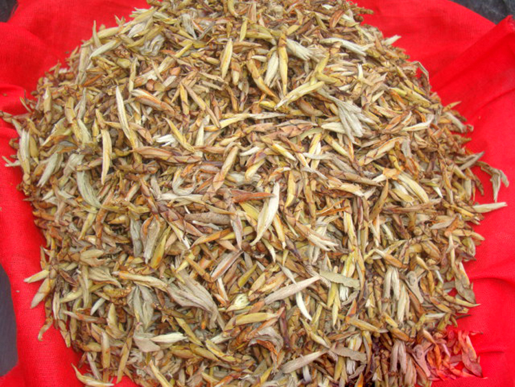 药用保健茶-2011四川青川特产纯天然野生特级