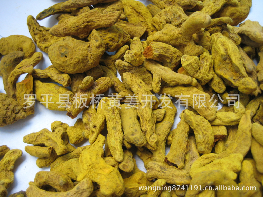 大量供应姜黄素提取物、优质姜黄出口