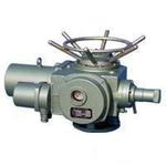 电动装置 电动阀门 DZW10,20,30等  多回转电动装置 