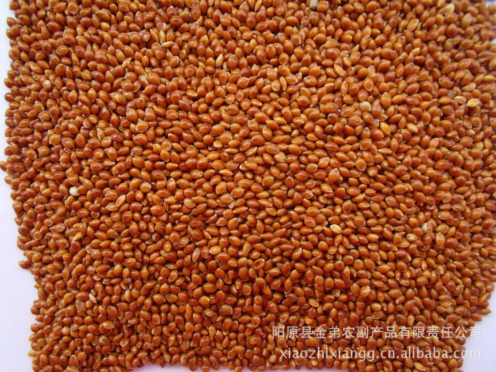 农副产品  专供——红黍子（量大价优）