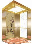 供应-豪华方便,高质、安全、简洁、低噪音型豪华电梯,两层无井架