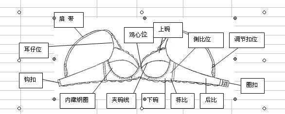 <em>文胸结构</em> 阿里巴巴 stdaianfen的博客 BLOG