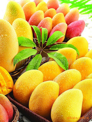 【马来西亚进口低糖低热能高膳食纤维ZEK芒果